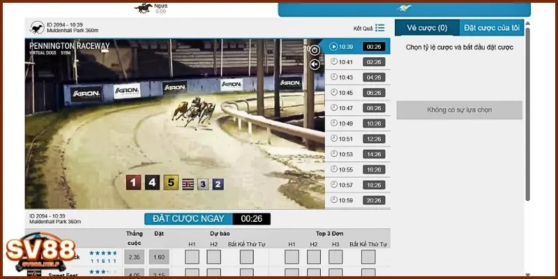 Thành viên chỉ cần vào sảnh chơi đua chó và chọn cược