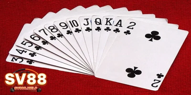 Cách chơi bài tú lơ khơ cơ bản dành cho người mới học