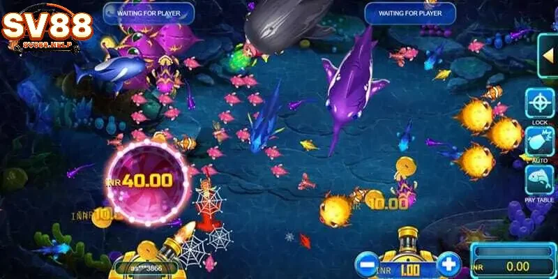 Cách chơi bắn cá vui trực tuyến cho người mới bắt đầu