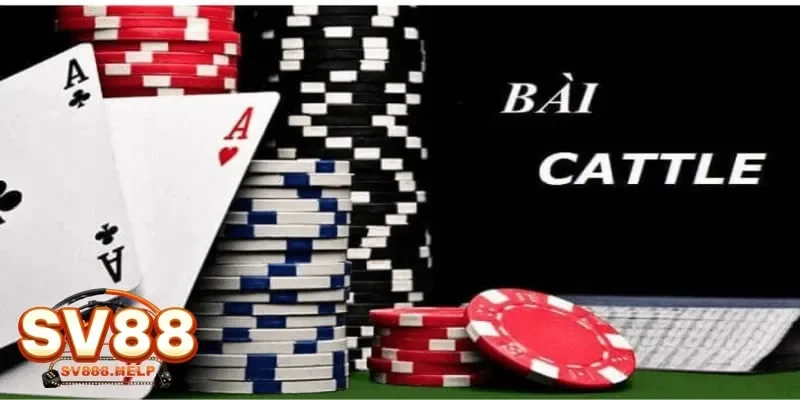 Chi tiết cách chơi bài cát tê từ A đến Z dễ hiểu và đầy đủ