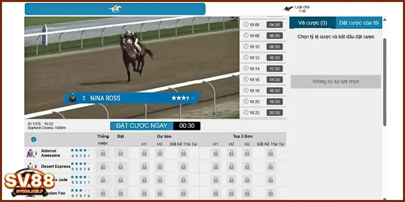 Tham khảo chiến lược cá cược hiệu quả để tăng cơ hội chiến thắng