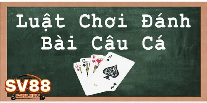 Mẹo ghi điểm cao khi áp dụng đúng cách chơi bài câu cá