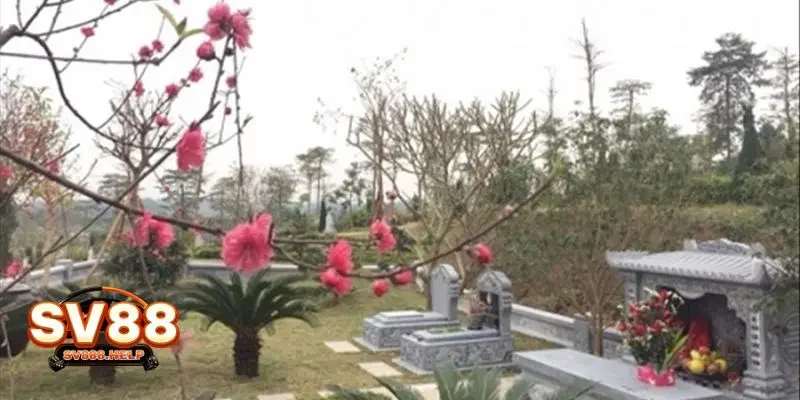 Mơ thấy mộ mới được chôn