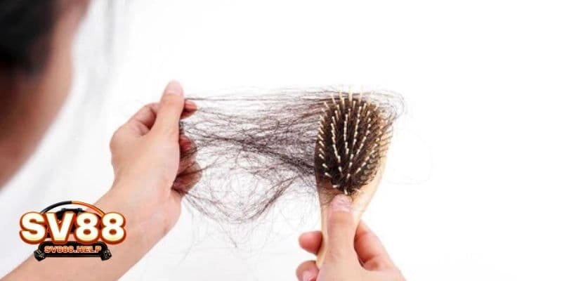 Ngủ Mơ Thấy Rụng Tóc Là Điềm Báo Gì Cho Tương Lai Hay Nhất